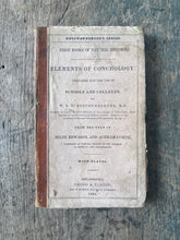 Load image into Gallery viewer, Elements of Conchology: Prepared for the Use of Schools and Colleges, by W. S. W. Ruschenberger from the Text of Milne Edwards, and Achille Comte