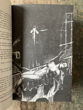 Load image into Gallery viewer, Far Lands and Other Days by E. Hoffman Price. Illustrated by George Evans