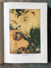 Load image into Gallery viewer, Tanglewood Tales by Nathaniel Hawthorne. With illustrations by Milo Winter