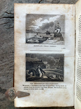 Load image into Gallery viewer, The Mariner's Chronicle: Containing Narratives of The Most Remarkable Disasters At Sea, Such As Shipwrecks, Storms, Fires, and Famines