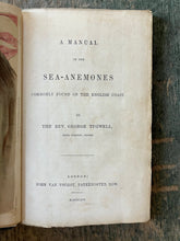 Load image into Gallery viewer, A Manual of the Sea-Anemones Commonly Found on the English Coast by the Rev. George Tugwell