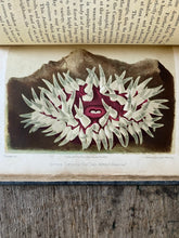 Load image into Gallery viewer, A Manual of the Sea-Anemones Commonly Found on the English Coast by the Rev. George Tugwell