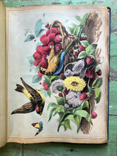 Load image into Gallery viewer, The Universal Scrap Book