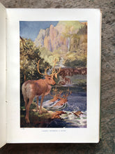 Load image into Gallery viewer, Pioneers in Canada by Sir Harry Johnston