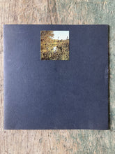 Load image into Gallery viewer, A Year of Walking, of Looking, of Thinking About a Fragile Place by Robert Wirth