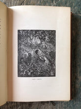 Load image into Gallery viewer, The Big Brother: A Story of Indian War by George Cary Eggleston