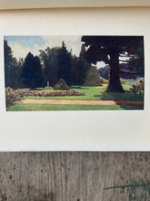 Load image into Gallery viewer, Dutch Bulbs and Gardens Painted by Mina Nixon and Described by Una Silberrad and Sophie Lyall