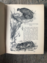 Load image into Gallery viewer, The Fables of Aesop. Compiled from the Best Accepted Sources. Altemus' Young People's Library