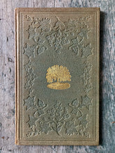 Load image into Gallery viewer, The Great Tree on Boston Common by J. C. Warren