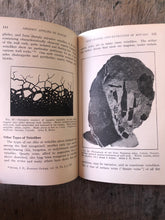 Load image into Gallery viewer, Geology Applied to Mining: A First Book of General Geology and Metallology by Josiah Edward Spurr