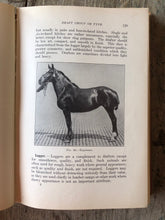 Load image into Gallery viewer, The Fundamentals of Live Stock Judging and Selection by Robert S. Curtis