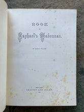 Load image into Gallery viewer, Book of Raphael's Madonnas by James P. Walker