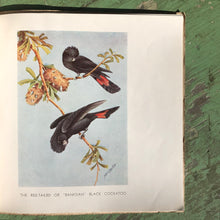 Load image into Gallery viewer, Australian Birds and Flowers by Neville Cayley