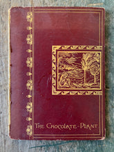 Load image into Gallery viewer, The Chocolate-Plant (Theobroma Cacao) and Its Products.