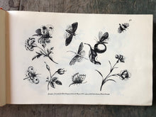 Load image into Gallery viewer, The Ladies Amusement; Or, Whole Art of Japanning Made Easy.