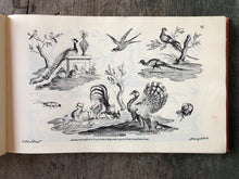 Load image into Gallery viewer, The Ladies Amusement; Or, Whole Art of Japanning Made Easy.