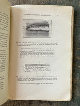 Load image into Gallery viewer, Plaies et Maladies Infectieuses des Mains by Marc Iselin