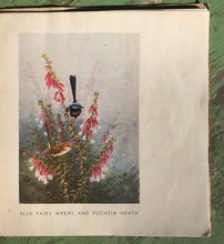 Load image into Gallery viewer, Australian Birds and Flowers by Neville Cayley