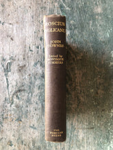 Load image into Gallery viewer, Roscius Anglicanus by John Downes