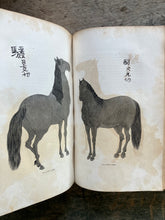 Load image into Gallery viewer, Narrative of the Expedition of an American Squadron to the China Seas and Japan, Performed in the Years 1852, 1853, and 1854, Under the Command of Commodore M. C. Perry, United States Navy, Compiled by Francis L. Hawks