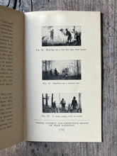 Load image into Gallery viewer, Fighting Forest Fires