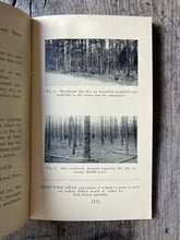 Load image into Gallery viewer, Fighting Forest Fires