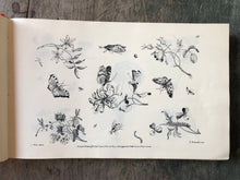 Load image into Gallery viewer, The Ladies Amusement; Or, Whole Art of Japanning Made Easy.