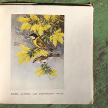 Load image into Gallery viewer, Australian Birds and Flowers by Neville Cayley