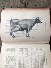 Load image into Gallery viewer, The Fundamentals of Live Stock Judging and Selection by Robert S. Curtis