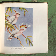 Load image into Gallery viewer, Australian Birds and Flowers by Neville Cayley