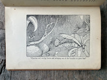 Load image into Gallery viewer, The Story of Doctor Dolittle by Hugh Lofting. SIGNED