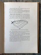 Load image into Gallery viewer, The Elements of Insect Anatomy: An Outline for the Use of Students in Entomological Laboratories by John Henry Comstock and Vernon L. Kellogg