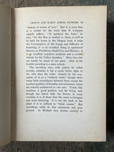 Load image into Gallery viewer, Dutch Bulbs and Gardens Painted by Mina Nixon and Described by Una Silberrad and Sophie Lyall