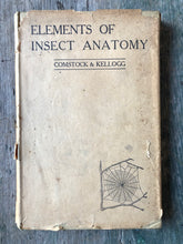 Load image into Gallery viewer, The Elements of Insect Anatomy: An Outline for the Use of Students in Entomological Laboratories by John Henry Comstock and Vernon L. Kellogg