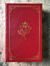 Load image into Gallery viewer, A Treatise on Insanity by Philippe Pinel