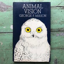 Load image into Gallery viewer, Animal Vision written and illustrated by George F. Mason