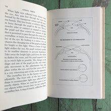 Load image into Gallery viewer, Animal Vision written and illustrated by George F. Mason