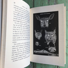 Load image into Gallery viewer, Animal Vision written and illustrated by George F. Mason