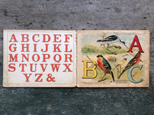 Load image into Gallery viewer, Dicky Birds ABC