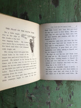 Load image into Gallery viewer, Orchard and Meadow by Zoe’s Meter and illustrated by Clara E. Atwood