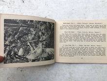 Load image into Gallery viewer, Friendly Fruits and Vegetables