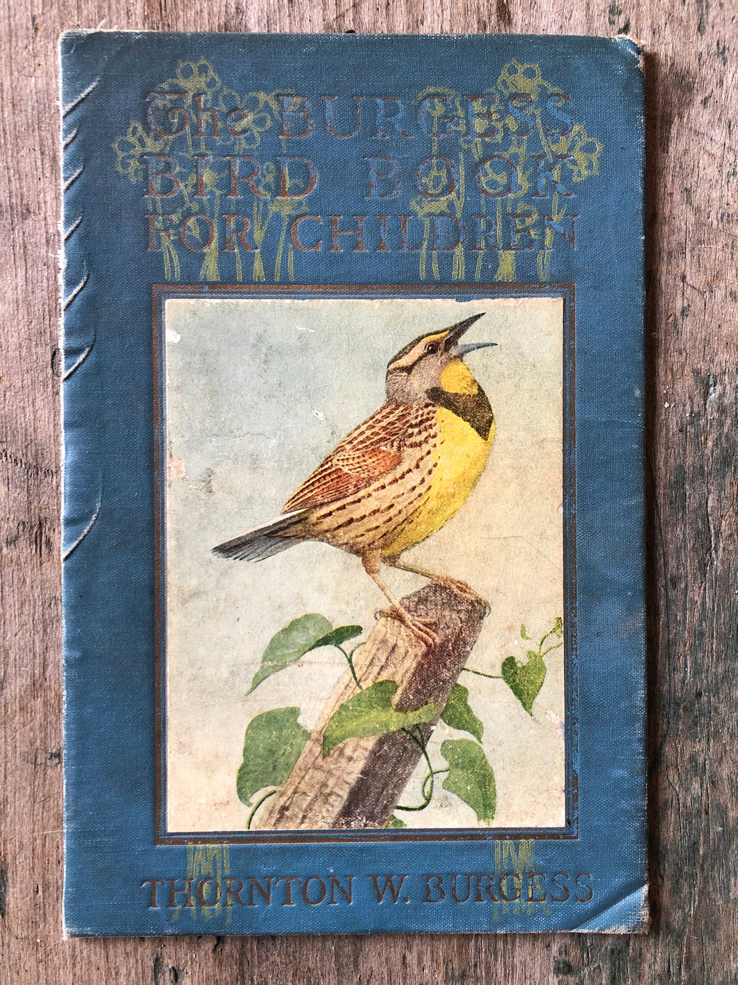 Cover of “The Burgess Bird Book for Children”