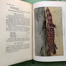 Load image into Gallery viewer, The Reptile Book by Raymond Lee Ditmars