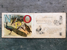 Load image into Gallery viewer, Dicky Birds ABC