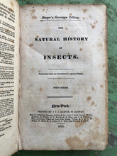 Load image into Gallery viewer, The Natural History of Insects. First Series.