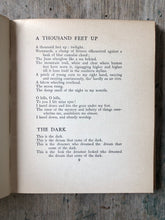 Load image into Gallery viewer, The Mountainy Singer by Seosamh MacCathmhaoil (Joseph Campbell)