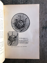 Load image into Gallery viewer, "Dan Beard's Animal Books and Camp-Fire Stories" by Dan Beard