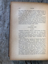 Load image into Gallery viewer, Gotham and the Gothamites. by Heinrich Oscar von Karlstein. Translated by F. C. Valentine