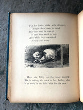 Load image into Gallery viewer, “Little Tot’s Story Book”