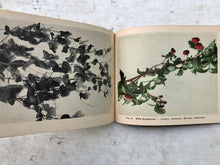 Load image into Gallery viewer, Friendly Fruits and Vegetables